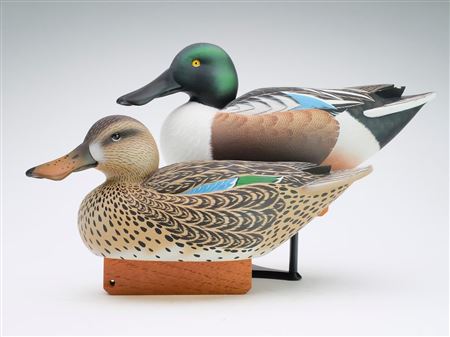 Pair of shoveler