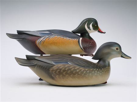 Pair of wood ducks