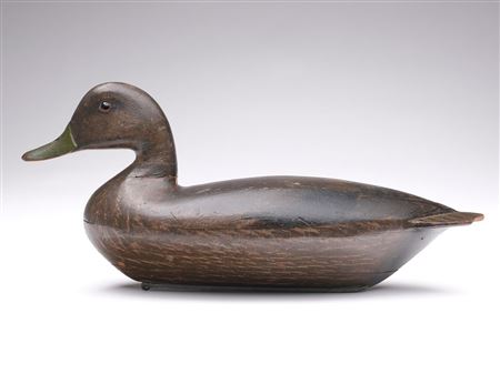 Black Duck