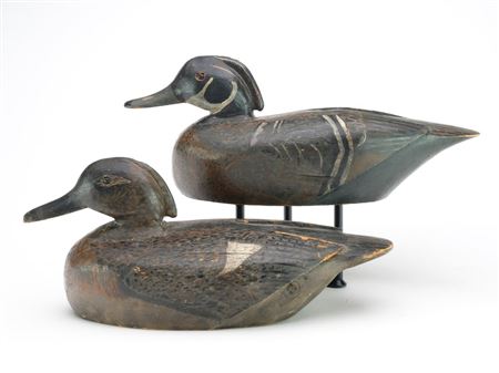 Pair of wood ducks