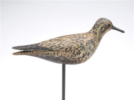 Golden plover