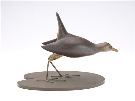 Sora rail