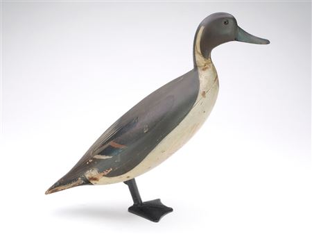 'Ice Duck'