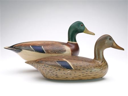 Pair of Mallards