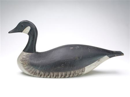 Canada Goose