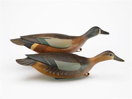 Pair of swimming bluewing teal