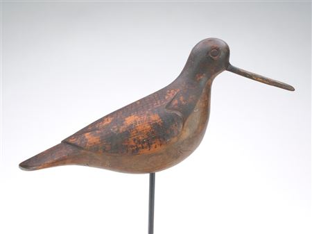Curlew
