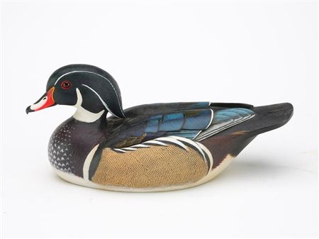 Wood duck