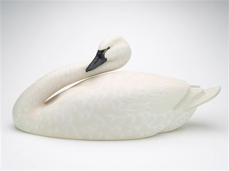 Swan