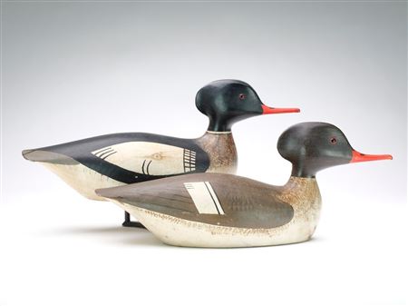 Pair of red-breasted mergansers
