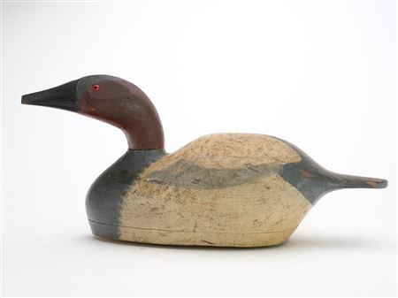 Canvasback