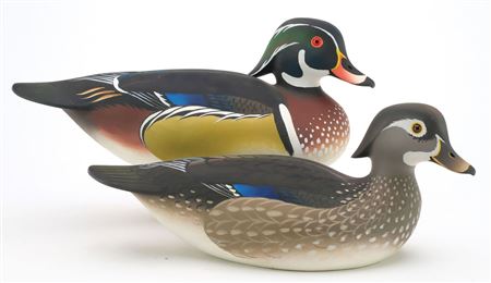 Pair of wood ducks with slightly turned heads and extended crests (2)