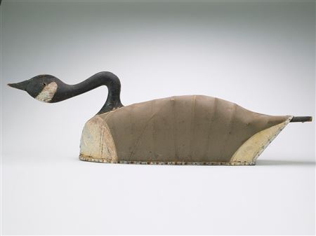 Oversize swimming Canada goose.