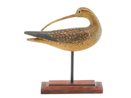 Miniature preening curlew with relief wing carving and curved bone bill.