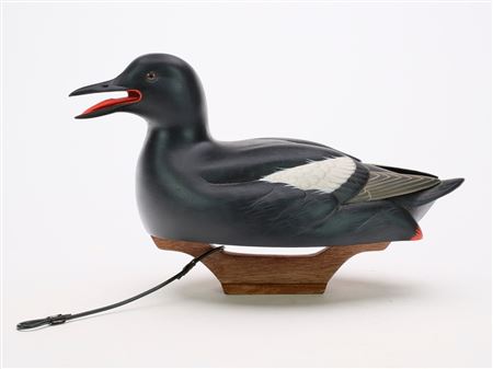 Black guillemot with open bill and deep relief wing carving. by Keith Mueller - Auction record, sale price, and art valuation. Compare with similar artists and explore comparable artworks.