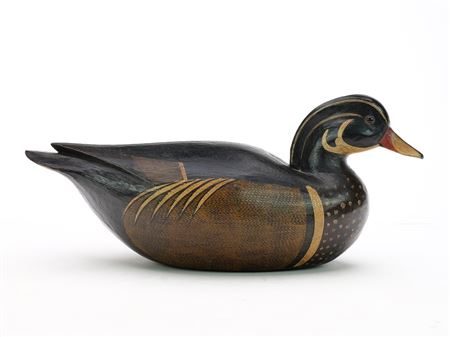 Early wood duck drake