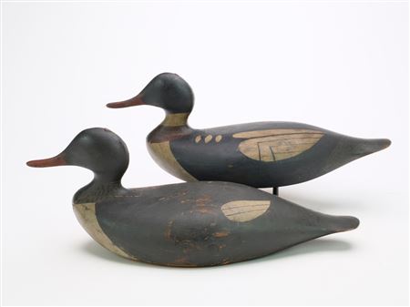Rigmate pair of red-breasted mergansers. Inlet neck seats