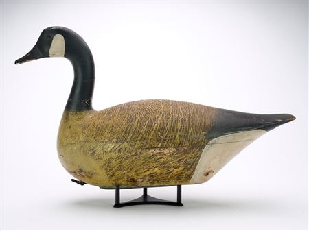Rare "tiger stripe" style Canada goose