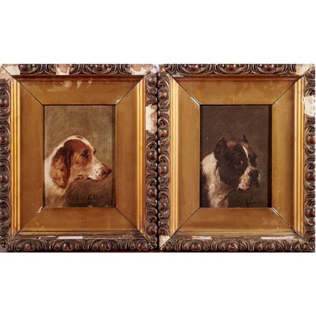 Head of a Boxer; Espagnole Dog (2)