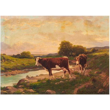 Cattle Grazing