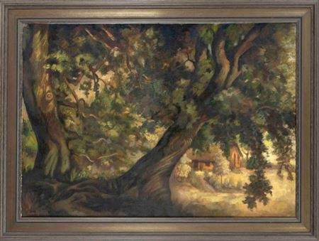 Old oaks