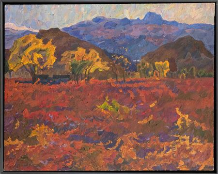 Expressive landscapes