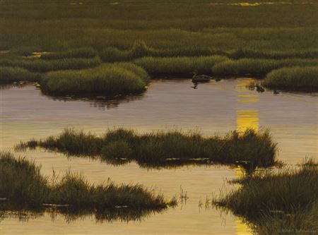 Mallard Family