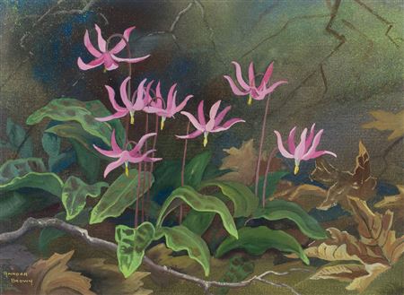 Shooting Stars by Annora Brown - Auction record, sale price, and art valuation. Compare with similar artists and explore comparable artworks.