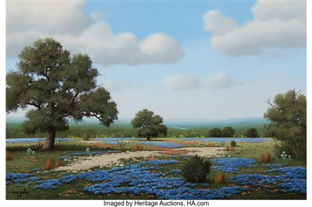 Bluebonnets
