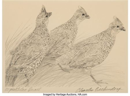 Bob White Quail, Desert Mule Deer, Blue Quail (three works)