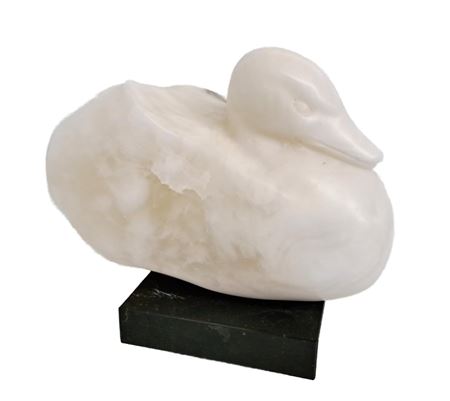 Duck 1981