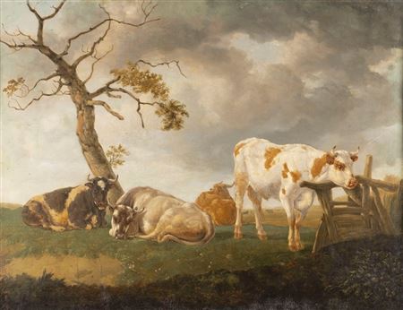 Grazing Cows