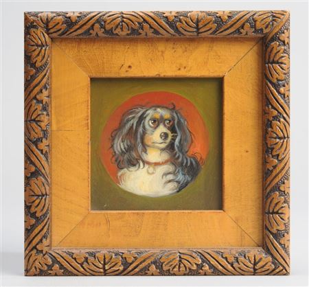 Cavalier King Charles