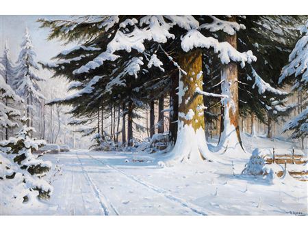 SONNIGER VERSCHNEITER WALDWEG