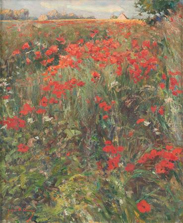 Les coquelicots.