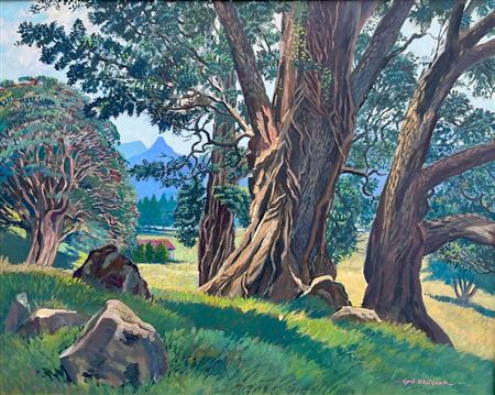 Sun & Shade, Northland by Cyril Whiteoak - Auction record, sale price, and art valuation. Compare with similar artists and explore comparable artworks.