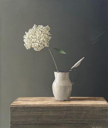 Hydrangea in Enamel Jug