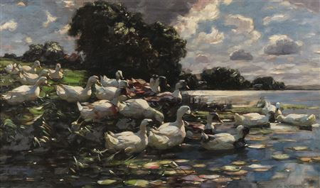 Gathering of Ducks After a Storm
