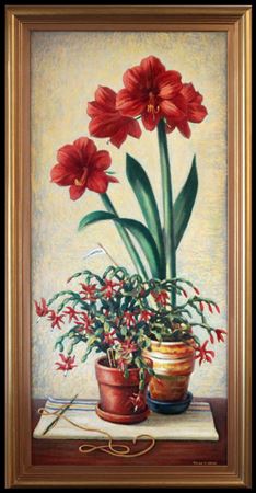 Amarylis and Christmas Cactus