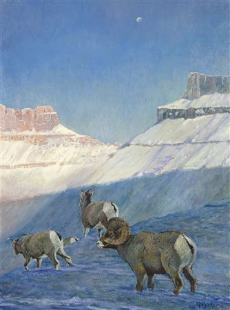 Wyoming Winter
