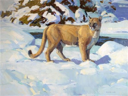 PUMA IN THE SNOW