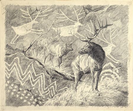 Elk Study