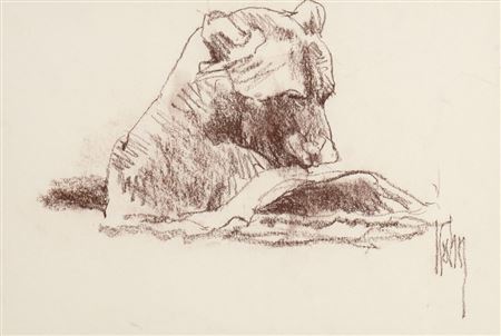BEAR WITH SALMON