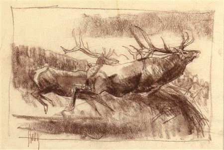 Two Elk