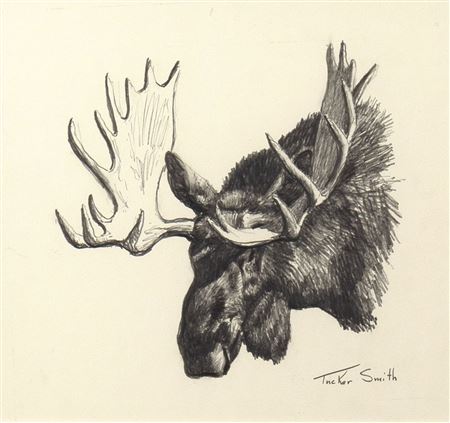 Moose Head