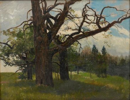 Toter Baum