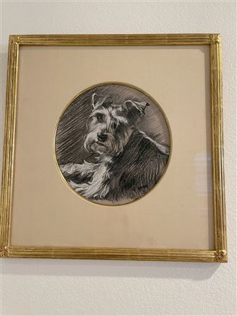Terrier Sketch
