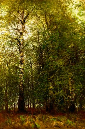 Birch Grove