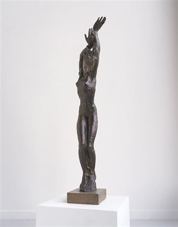 Large Daphne , 1930