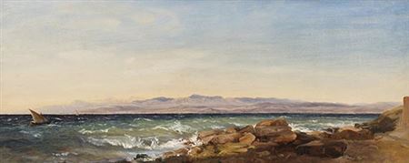 MOVING SEA ON THE COAST OF ISTRIA